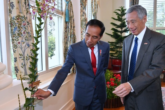 Presiden Joko Widodo (kiri) bersama PM Singapura Lee Hsien Loong melihat bunga anggrek Iriana Jokowi di Istana, Singapura, Selasa (08/10). Foto: Dok. Laily Rachev - Biro Pers Sekretariat Presiden