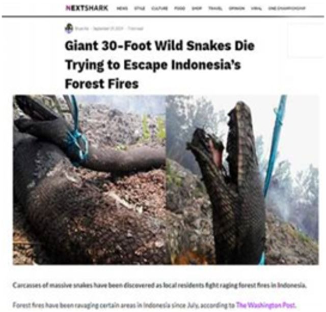 Saat Twitter Gagal Memfasilitasi Mitigasi Bencana Kebakaran Hutan (27721)