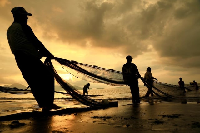 ilustrasi tarek pukat, tradisi nelayan di Aceh. Foto: Suparta/acehkini 