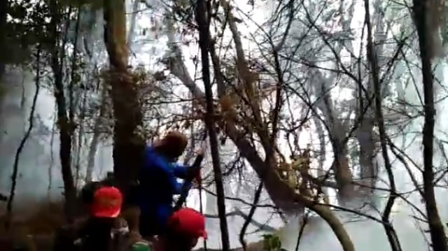 Petugas berusaha memadamkan api di objek wisata Kawah Putih, Kabupaten Bandung. (Istimewa)