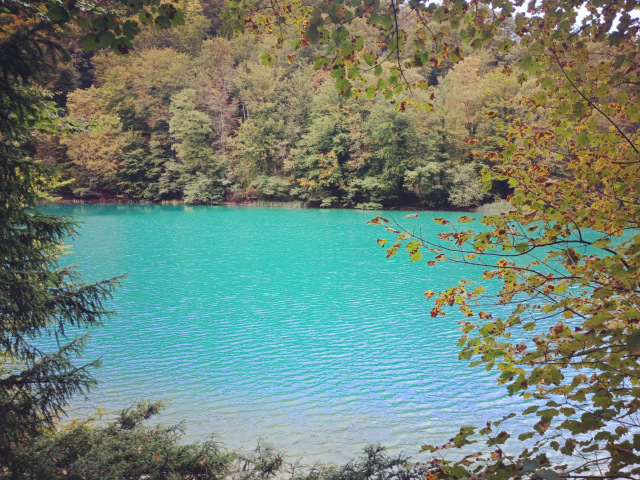 Warna danau di Plitvice Lakes National Park memiliki gradasi warna biru muda, hijau tosca. Foto: Daniel Chrisendo/kumparan