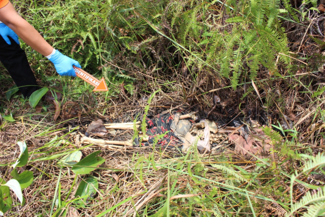'Mayat Kerangka' yang ditemukan tinggal tulang, Sabtu (28/9). Foto: Dok Hi!Pontianak