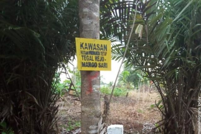 Tim Dinas Lingkungan Hidup dan Kehutanan Kepri memasang batas kawasan hutan di dalam lahan perkebunan yang dikuasai warga di Desa Ekang Anculai, Bintan. (Antara)