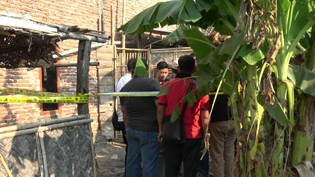 Rumah orang tuanya di di Desa Sitanggal, RT 07, RW 02 Kecamatan Larangan, Brebes itu digeledah polisi. (Foto: Syaifullah)
