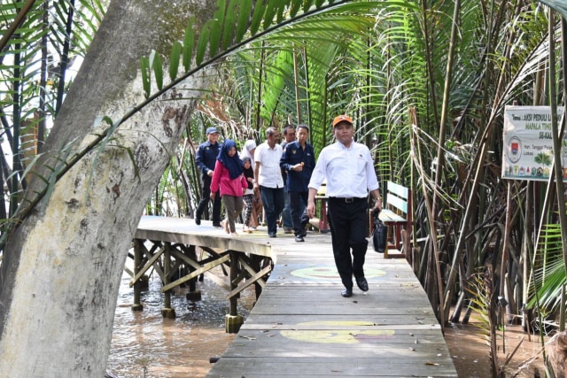 Hutan Mangrove Kubu Raya, Pontianak, Kalimantan Barat