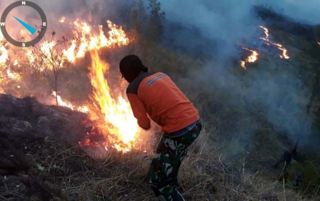 Hutan di Gunung Arjuno kembali terbakar