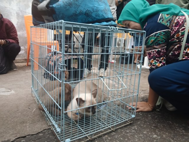 Masyarakat membawa hewan peliharaannya untuk mengikuti vaksinasi rabies dan pelayanan kesehatan hewan gratis. Foto: Resi Jesita/Hi!Pontianak