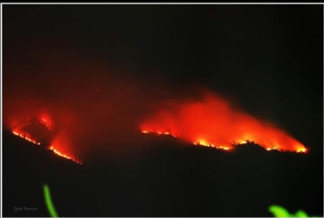 Kebakaran di Gunung Arjuno saat difoto dari kejauhan, Jum'at malam (11/10). Foto: Tahura for tugumalang.id