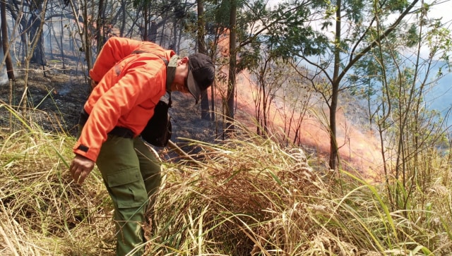 Foto: Kebakaran Hutan di Gunung Arjuno Belum Padam (26389)