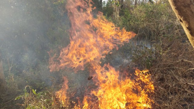 Foto: Kebakaran Hutan di Gunung Arjuno Belum Padam (26390)