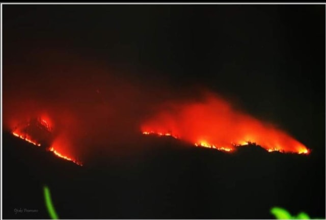 Foto: Kebakaran Hutan di Gunung Arjuno Belum Padam (26391)