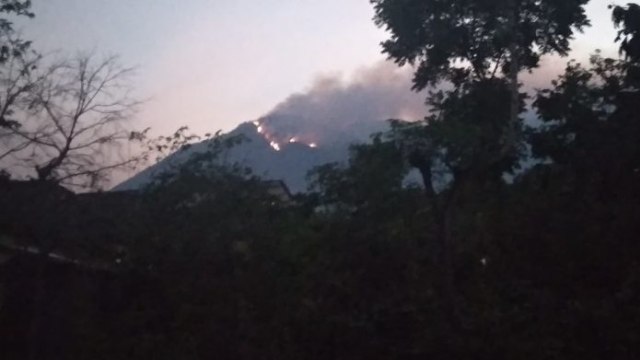Kebakaran Hutan Gunung Arjuno-Ringgit. Foto : Jonianto