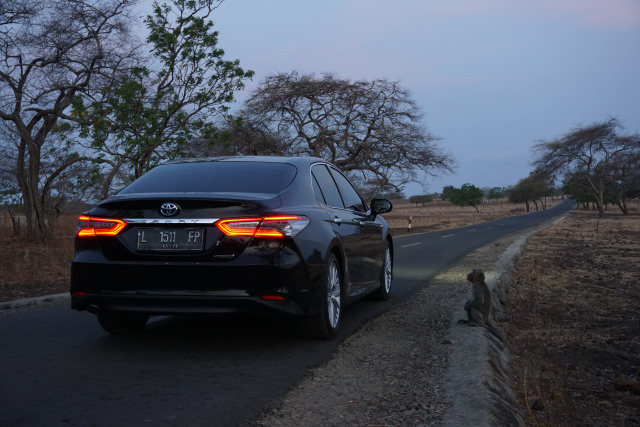 Menguji 5 Mobil Hybrid Toyota, Mana yang Paling Irit BBM? (558902)