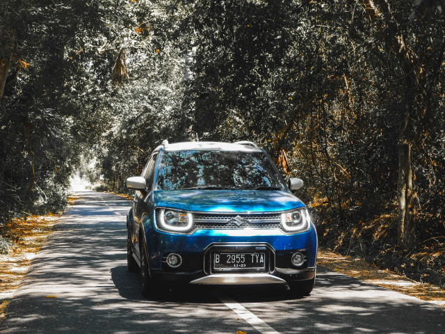 Suzuki Ignis