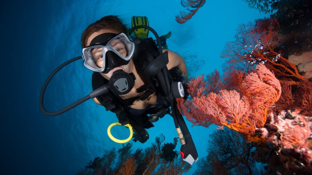 Olaraga menyelam atau diving. Foto: Shutterstock