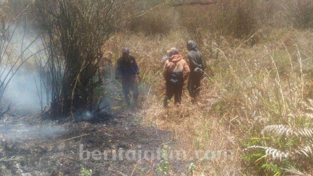 Kebakaran di Gunung Semeru (Humas BB TNBTS).