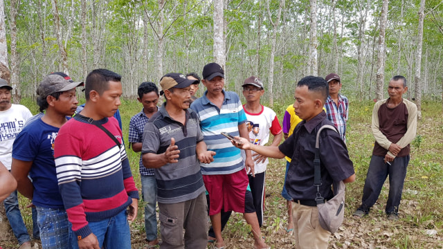 Para buruh karet PTPN XIII Kebun Batulicin Afdelling Inti 1, Kecamatan Karang Bintang, Kabupaten Tanah Bumbu pada Senin (14/10). Foto: banjarhits.id