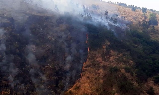 Kebakaran di lereng Gunung Ringgit Pasuruan tersisa satu titik