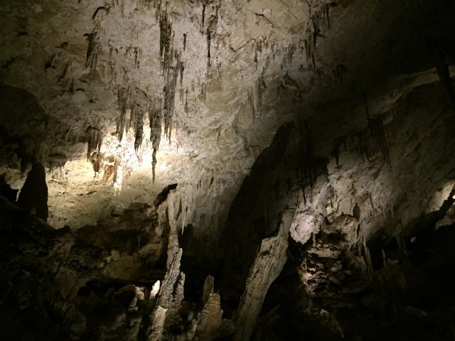 Gua Mammoth