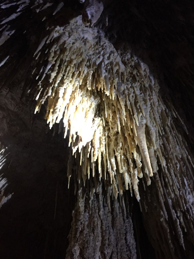 Gua Mammoth