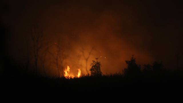 Api membakar hutan dan lahan gambut di jalan Gubernur Syarkawi, Kabupaten Banjar, Kalimantan Selatan, Selasa (15/10/2019). Foto: ANTARA FOTO/Bayu Pratama S