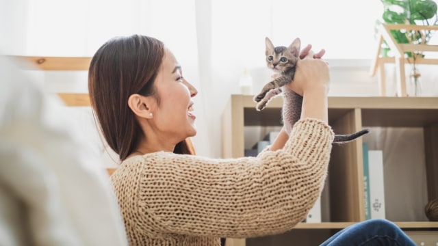 Ilustrasi perempuan dan kucing. Foto: Shutterstock