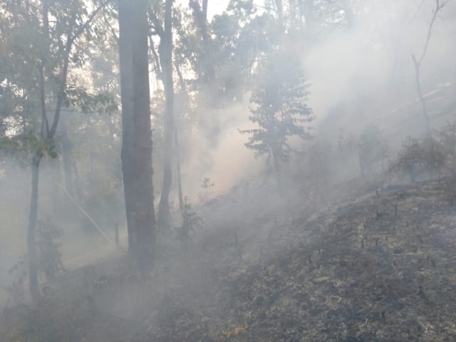 Kebakaran di tanjakan menuju pos 4. Foto: Doc Imung