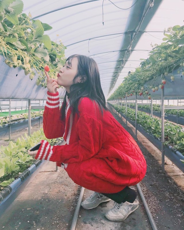 Sulli berpose seakan hendak mencium stroberi saat mengunjungi kebun buah tersebut. Foto: Instagram @jelly_jilli