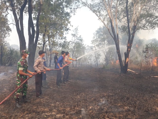 Personil gabungan berupaya memadamkan api yang melalap hutan dikawasan Pasir Padi, Pangkalpinang. (Ist)
