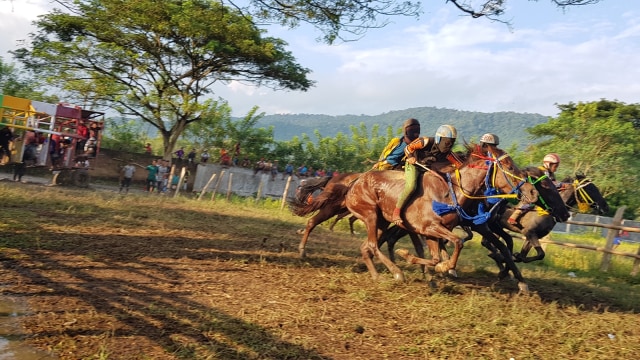 Ketua LPA Desak Joki Cilik di Dompu dan Bima Ditiadakan (154531)