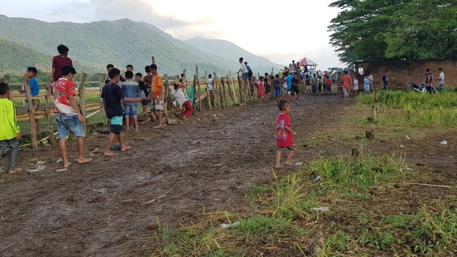 Ketua LPA Desak Joki Cilik di Dompu dan Bima Ditiadakan (154533)