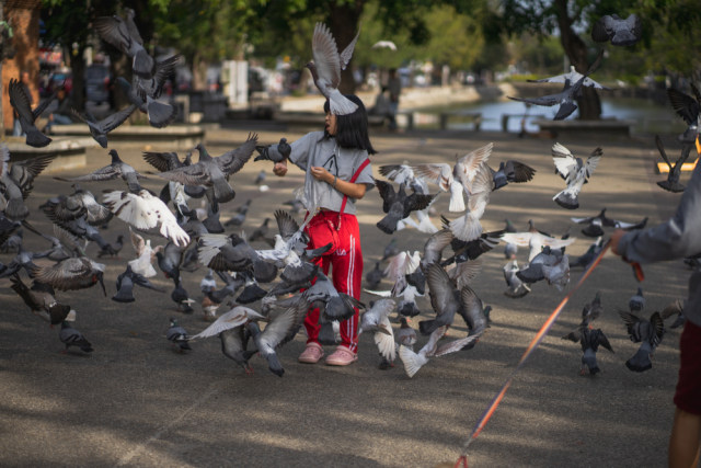 Wisatawan yang tengah berfoto di Tha Pae Gate, Thailand Foto: Shutter Stock