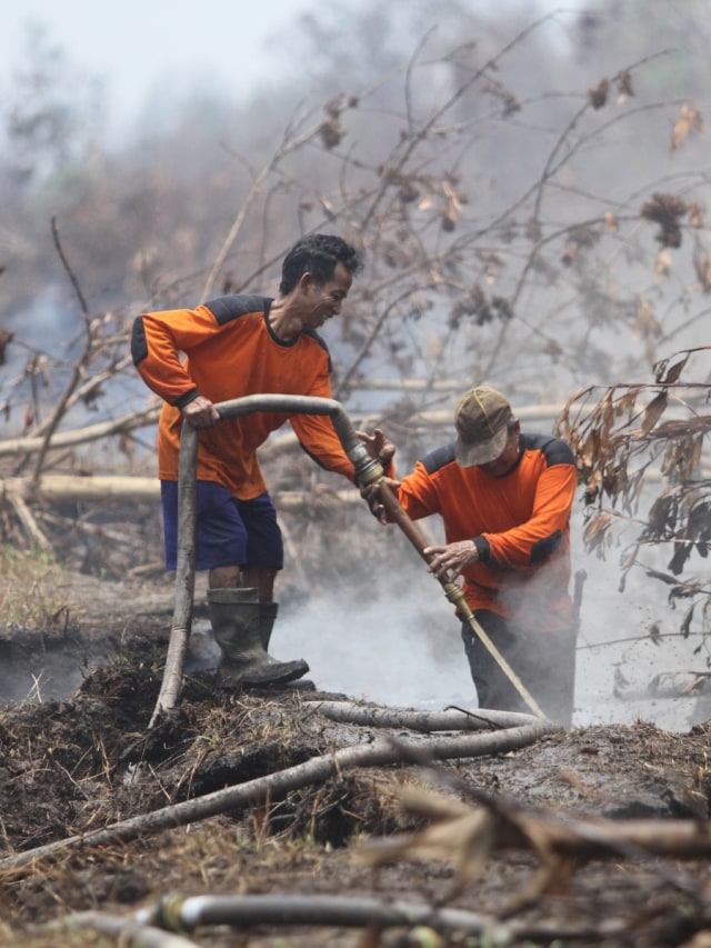 Petugas patroli pencegahan Karhutla melakukan pemadaman kebakaran lahan gambut di desa Ganepo, Kabupaten Kotawaringin Timur, Kalimantan Tengah. Foto: ANTARA FOTO/Bayu Pratama S