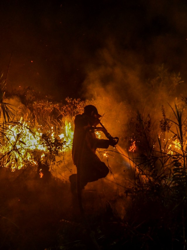 Kebakaran hutan di Riau. Foto: AFP/Wahyudi