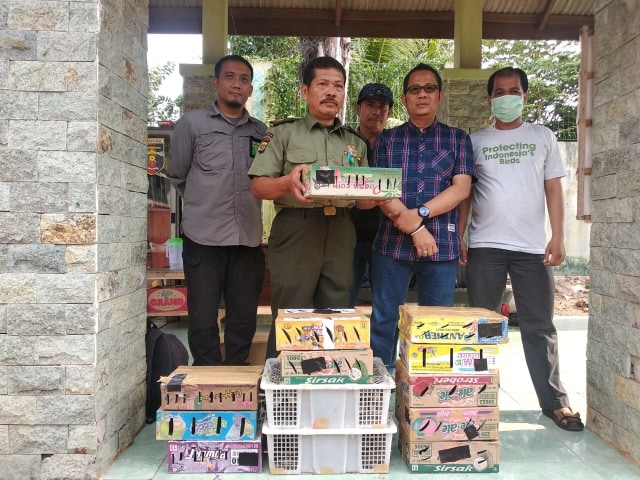 BKSDA Lampung saat ekspose penggagalan penyelundupan burung, Jumat (18/10) | Foto : Obbie Fernando/Lampung Geh