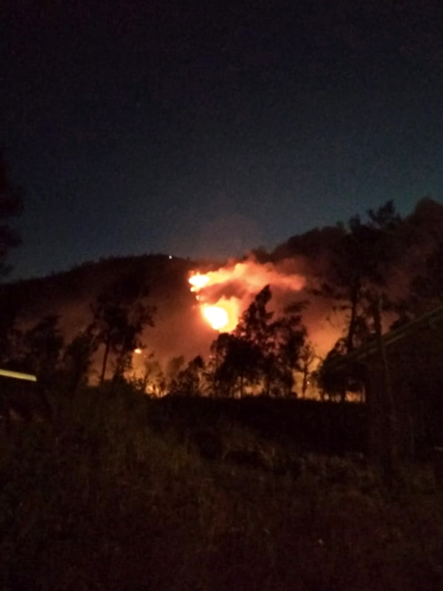 Gunung Ranti di Banyuwangi terbakar, Sabtu (19/10/2019). Foto: Dok. Istimewa