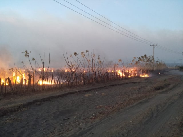 Kebakaran di Savana Doroncanga. Foto: Info Dompu