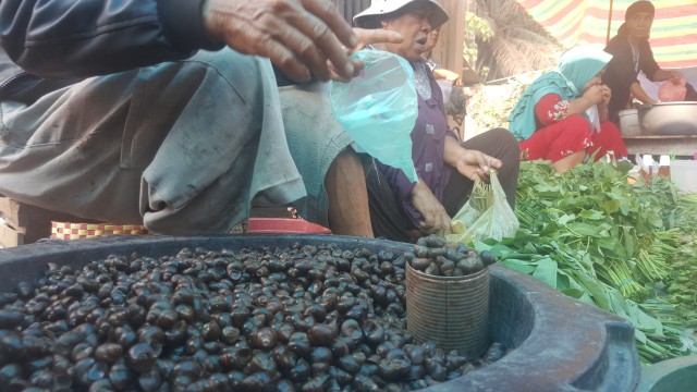 Tutut sawah atau koeng sawah cukup sulit ditemukan di sejumlah pasar di Palembang, jikapun ada hanya ada pada momen tertentu saja. (Foto. Reno / Urban ID)