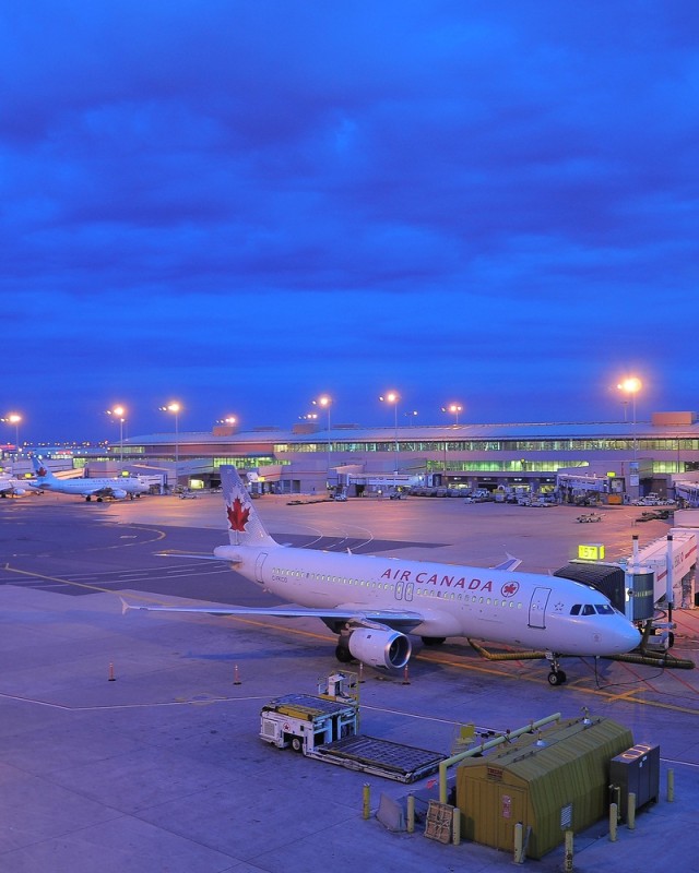 Ilustrasi Air Canada (Portrait) Foto: Shutter Stock