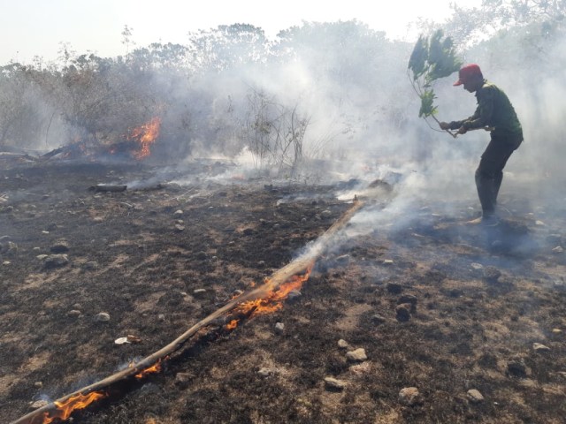 Kebakaran hutan melanda TN Tambora. Foto: Balai TN Tambora