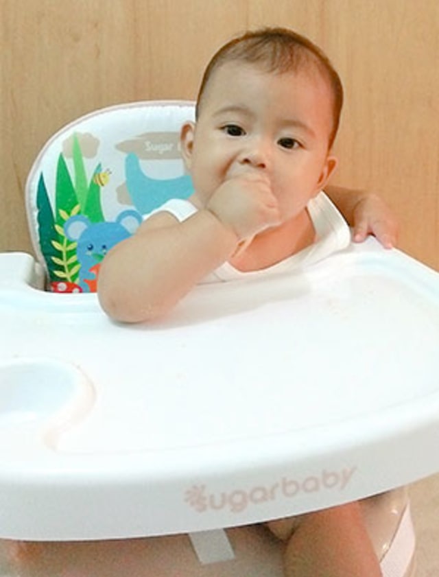  Review  Booster  Seat  Ringan dan Praktis Sugar  Baby  Sit On 