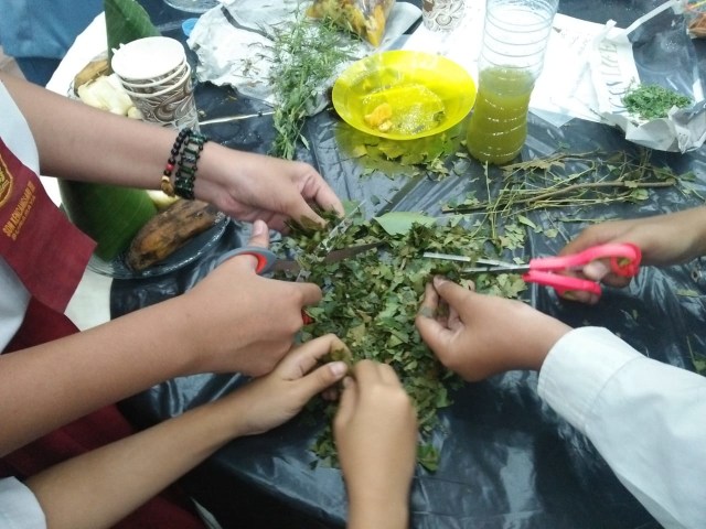 Ayo Buat Pestisida dan Pupuk Cair Ramah Lingkungan dari Bahan Dapur (215026)