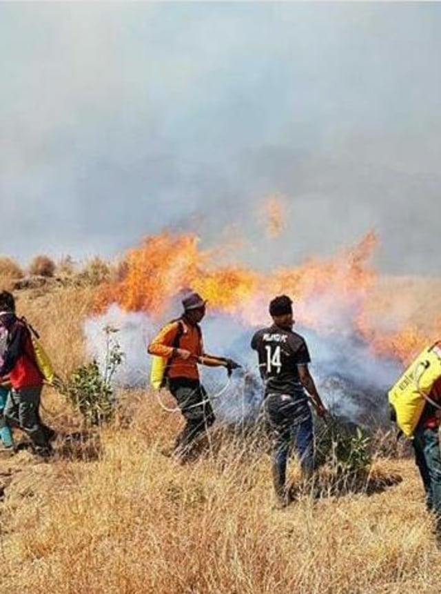 Petugas padamkan kebakaran di Gunung Rinjani Foto: istimewa