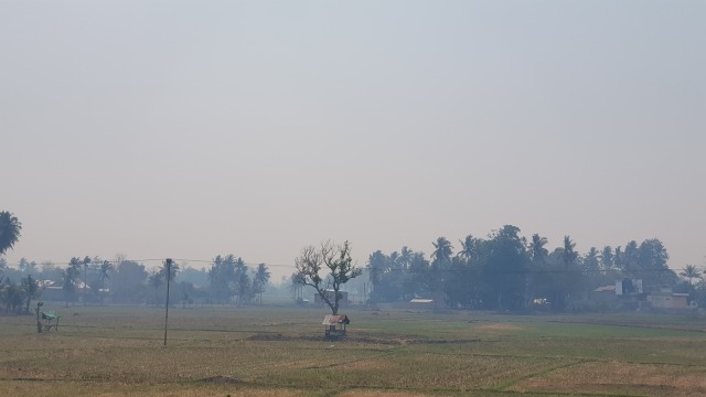 Biasanya kabut pagi menyelimuti wilayah persawahan, tetapi Rabu siang hingga sore kabut asap menyelimutinya. Foto: Info Dompu