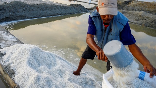 Petani memasukkan garam untuk pupuk yang baru dipanen ke dalam karung di Penggaraman Talise, Palu Sulawesi Tengah, Kamis (24/10/2019). Foto: ANTARA FOTO/Basri Marzuki