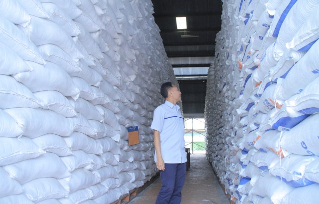 Kasubdivre Bulog Merauke, Djabaluddin saat mengecek penyerapan beras di gudang milik Bulog Merauke. (BumiPapua.com/Abdel Syah)