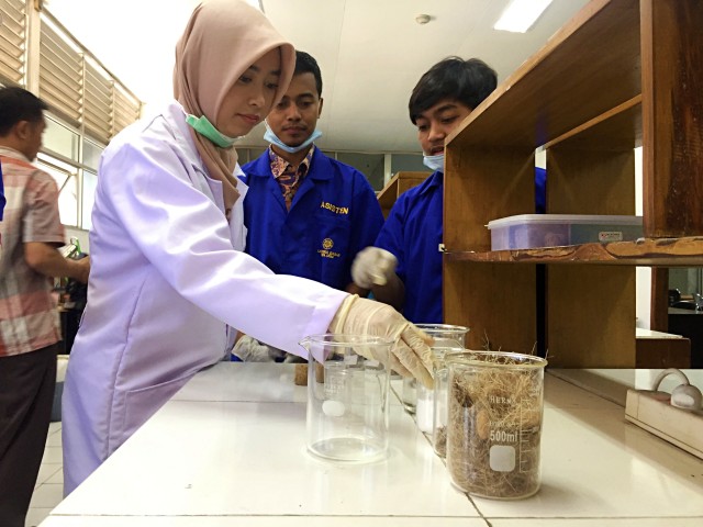 Mahasiswa UGM Bikin Panel Akustik Peredam Suara dari Limbah Onggok (188901)
