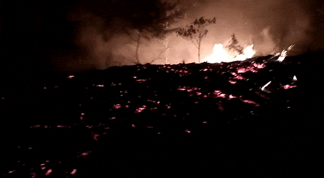 Hutan Lindung di Dieng, Wonosobo, Jawa Tengah terbakar. Foto: Dok. BPBD Jateng