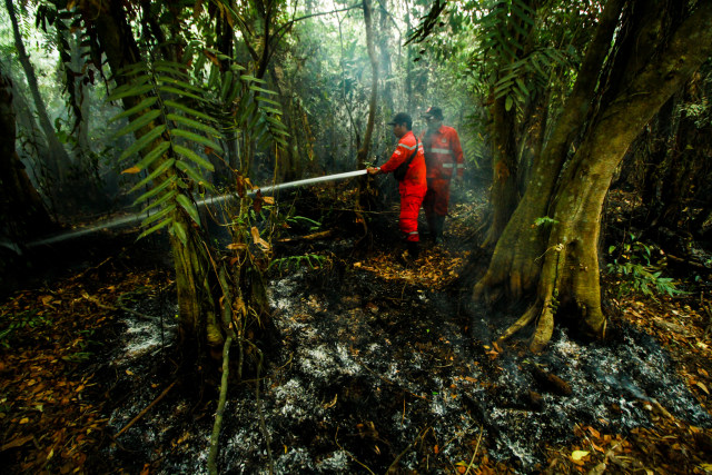 Satgas karhutla tengah memadamkan api di Sumsel. (foto: Ary Priyanto/Urban Id)