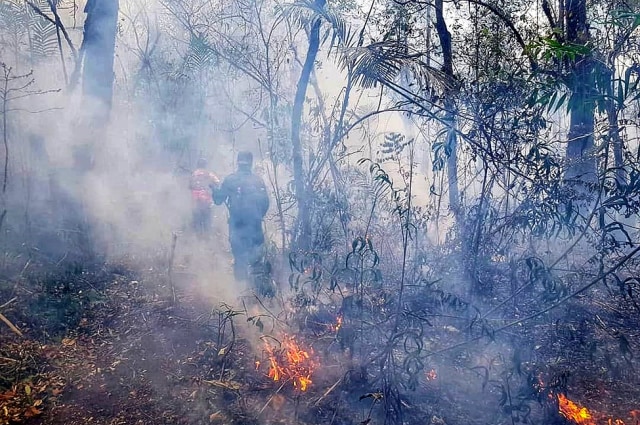 Petugas gabungan berupaya memadamkan titik api di kawasan Taman Nasional Gunung Ciremai. (Istimewa)